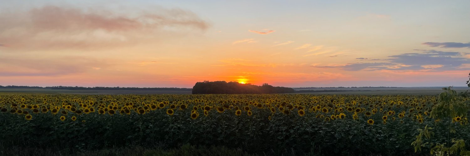 Phob_D's profile banner image