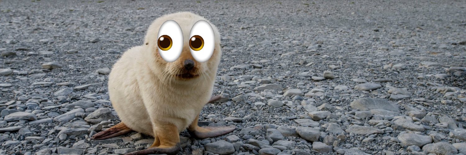 imglorpingit's profile banner image
