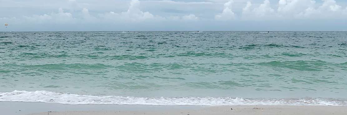 Haley_Danielle5's profile banner image