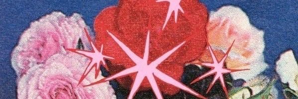 41LANI's profile banner image