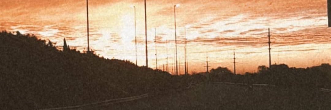 beleenip's profile banner image
