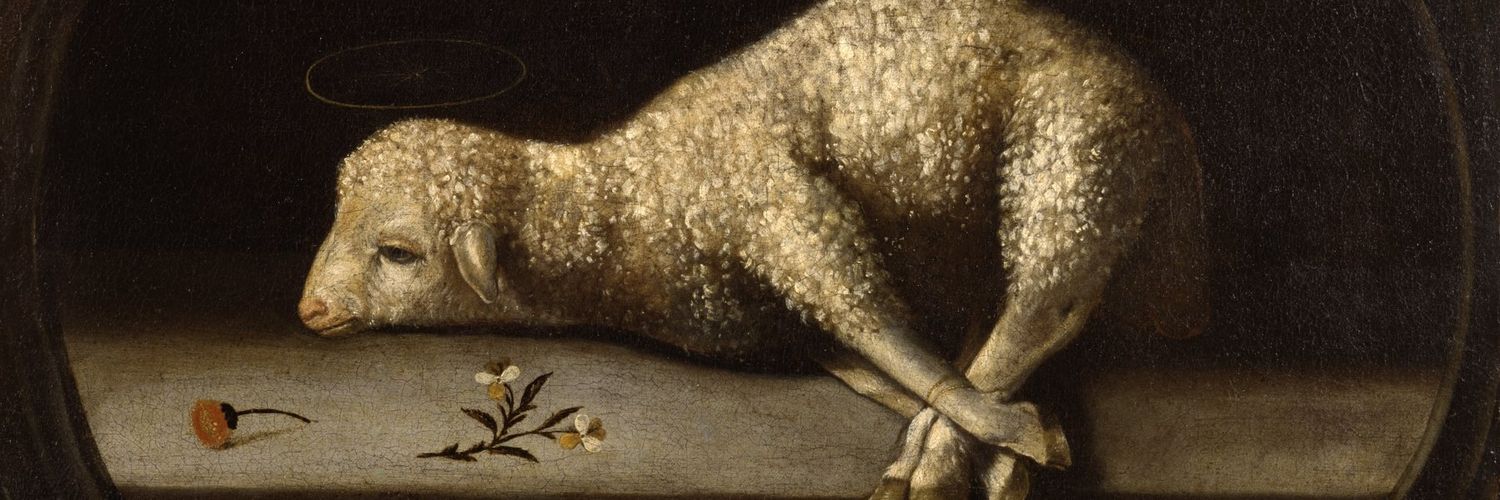 bozyurdlu's profile banner image