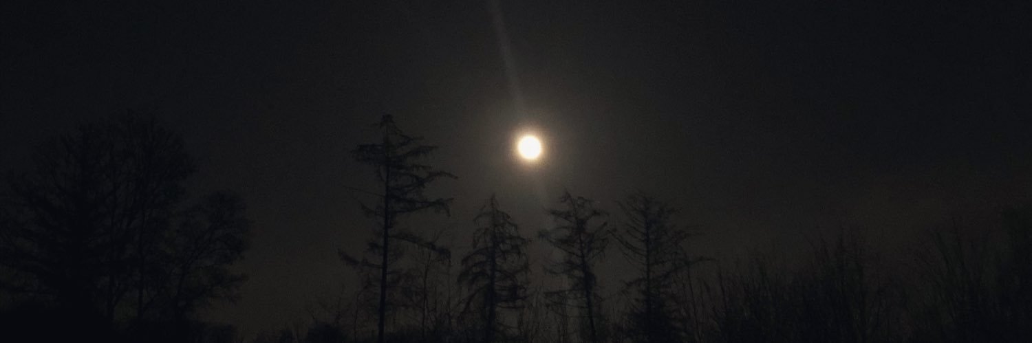 lanaswhoree's profile banner image