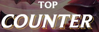 C0unter banner