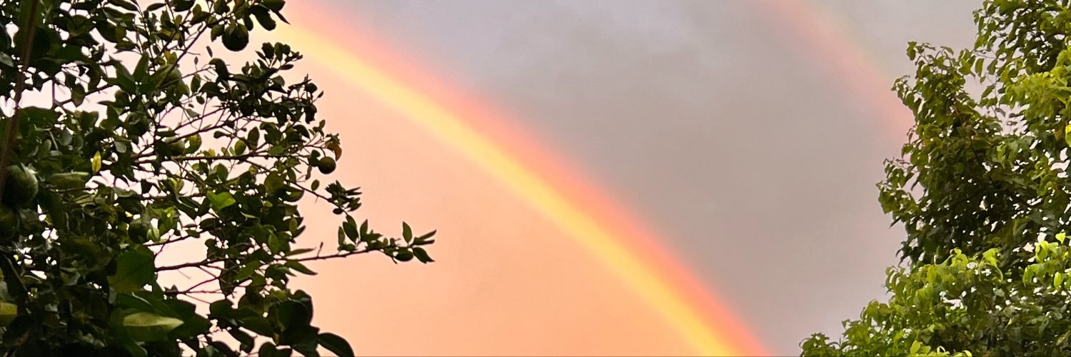 sofia_sabal's profile banner image