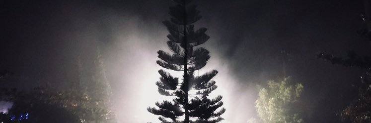 MigzTerumo's profile banner image