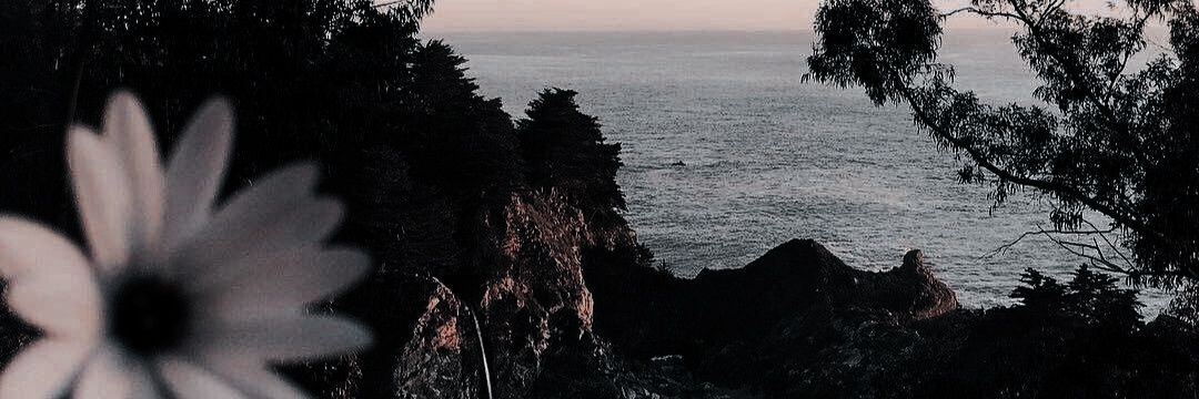 moonkight_'s profile banner image