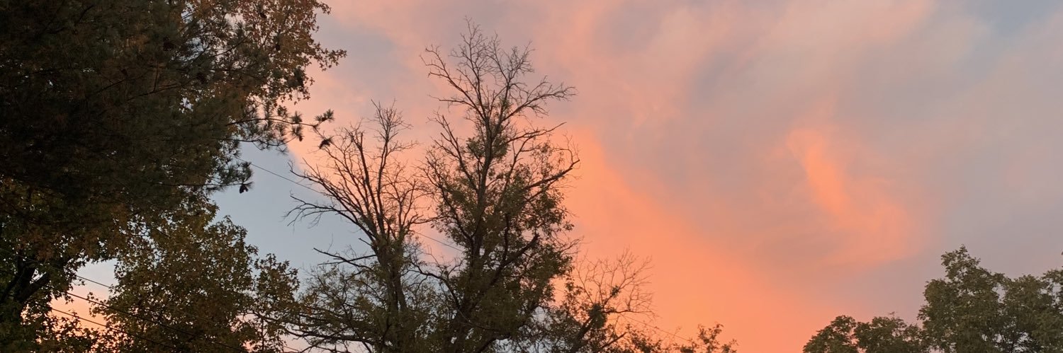 juliamgraves's profile banner image