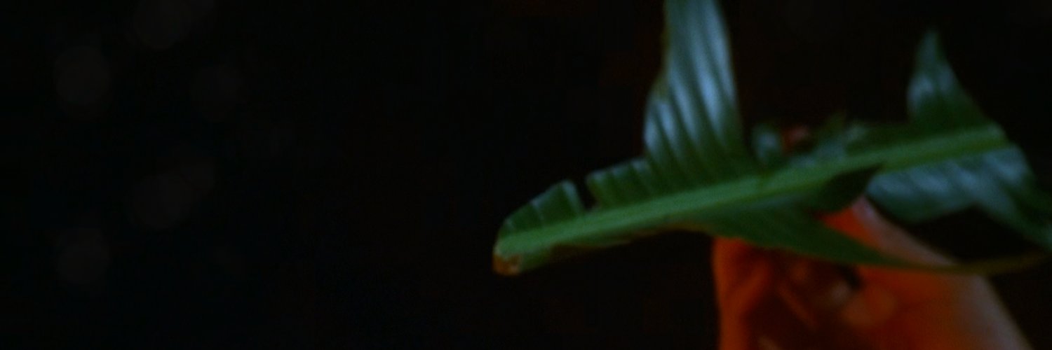 i am superwholost banner