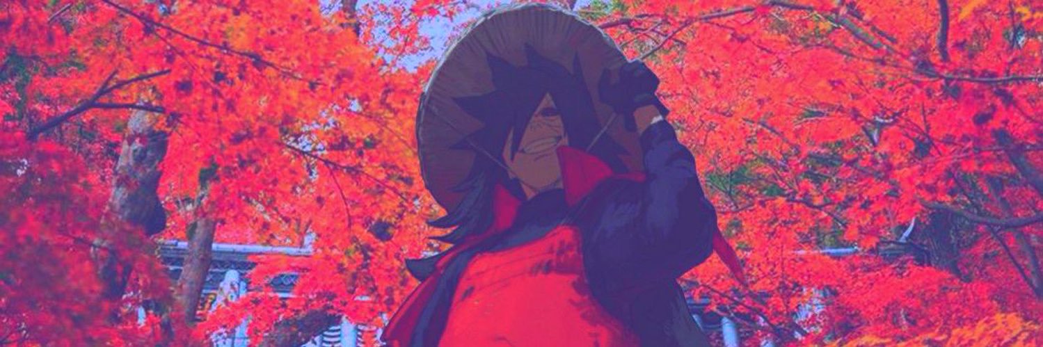 fancy banner