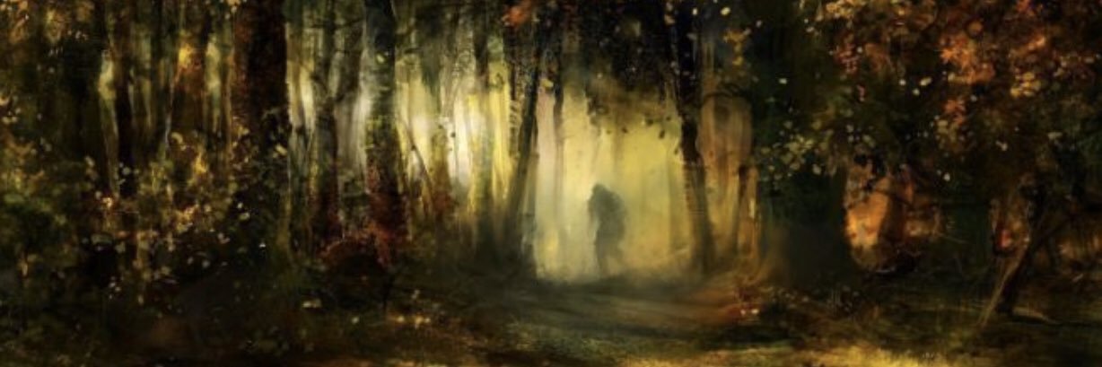 C4_Lux's profile banner image