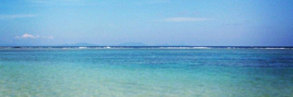 HarukoYokote's profile banner image