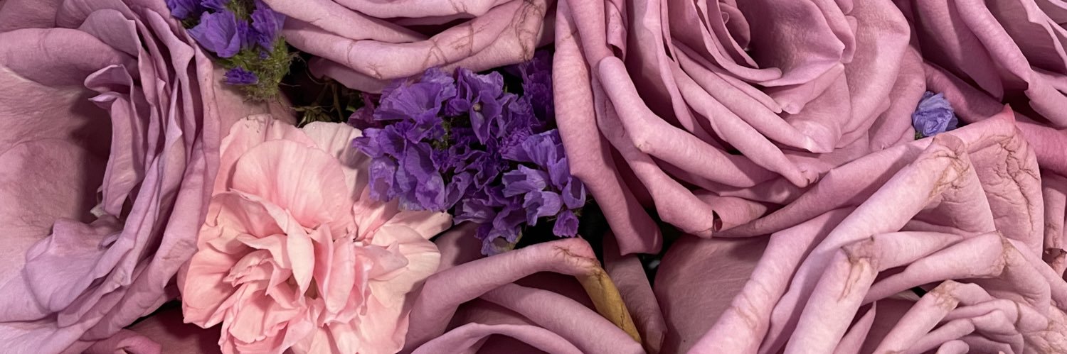 JahniaLara's profile banner image