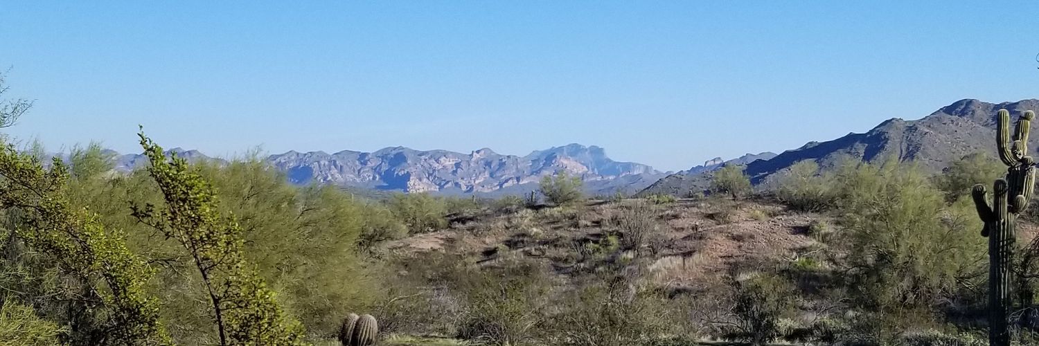 Officernotsofriendly banner