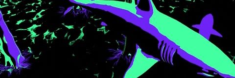 MantisInfest's profile banner image