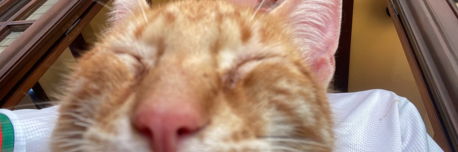 marquesdiary's profile banner image