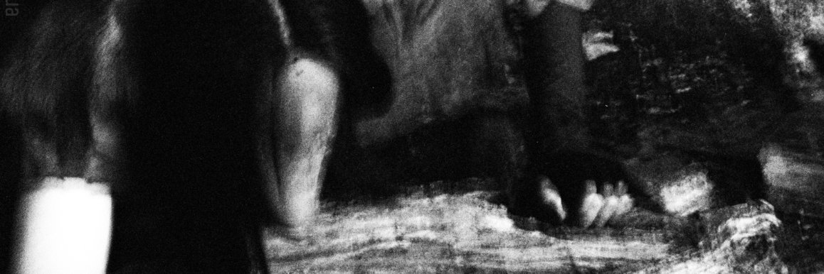 WastelandVermin banner