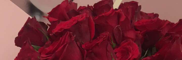 الحساب الرسمي أ/ رقية عيسى الهوساوي ❤️ banner