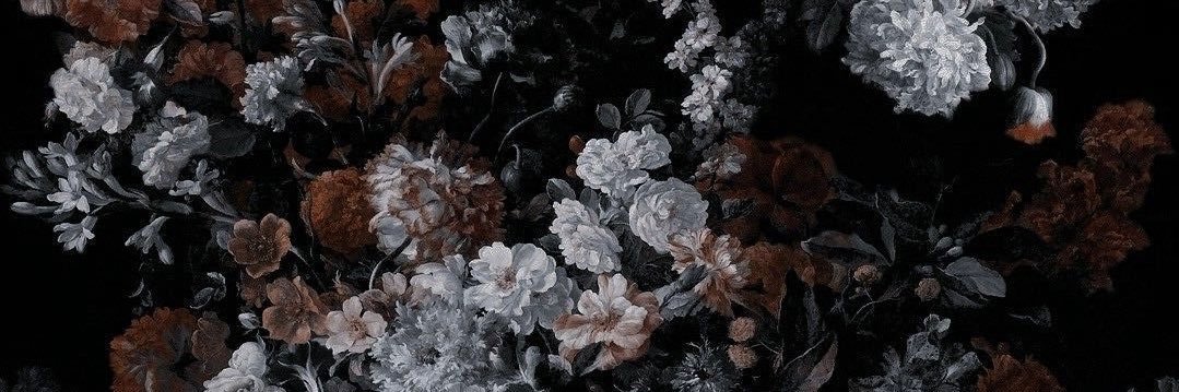 RidleyOwe's profile banner image