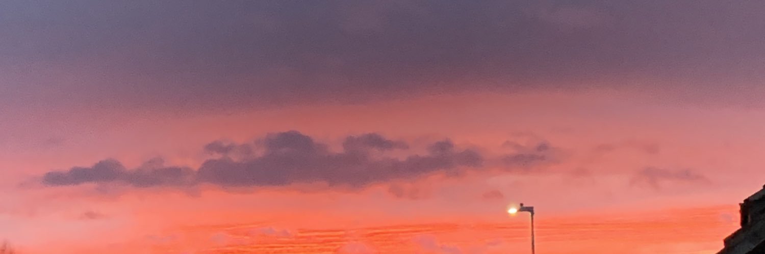 amybxnnxttx's profile banner image