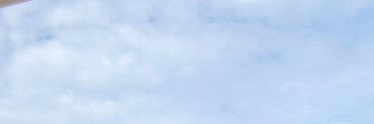 l banner