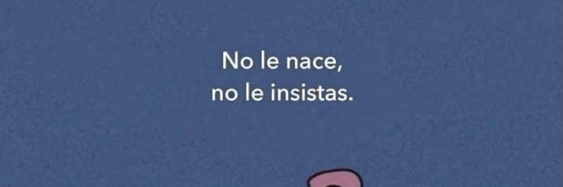 nashapintos22's profile banner image