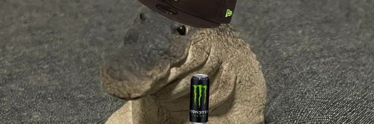 skellinsol's profile banner image