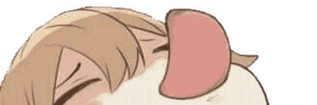 Bit28606579's profile banner image