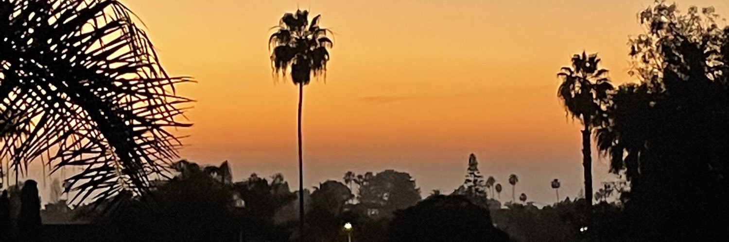 PitBullMamaa's profile banner image