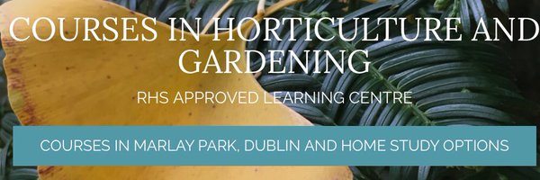 ciarantburke Profile Banner