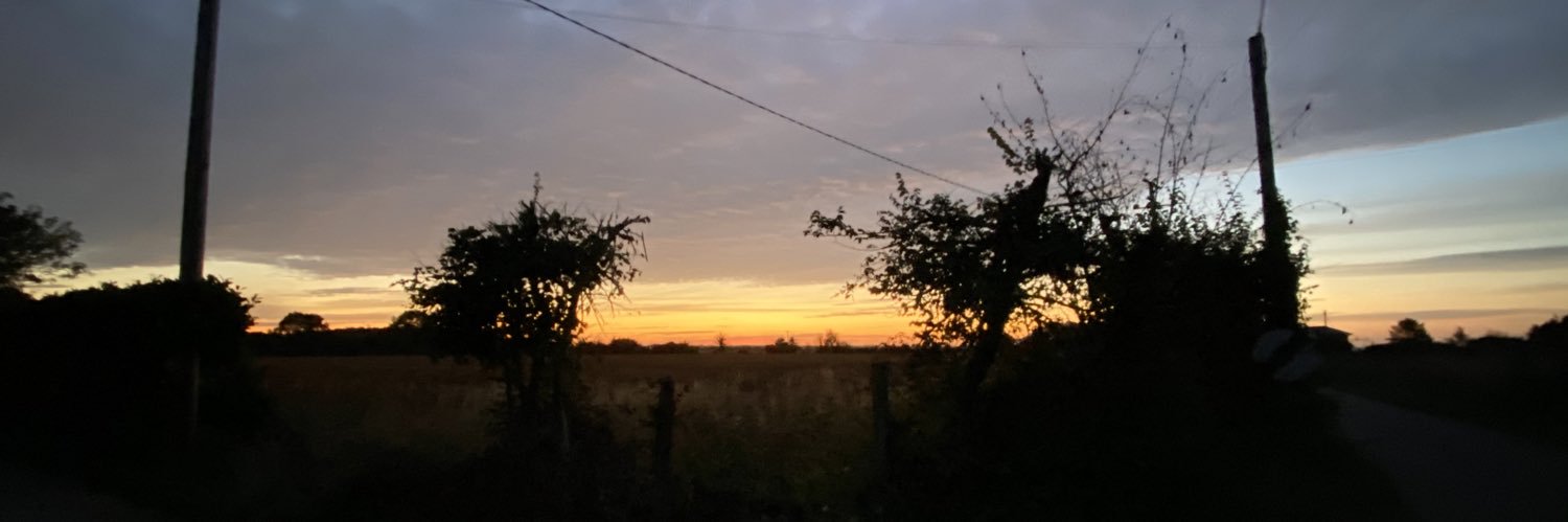 mattxv_'s profile banner image