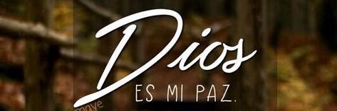 QFMayito's profile banner image