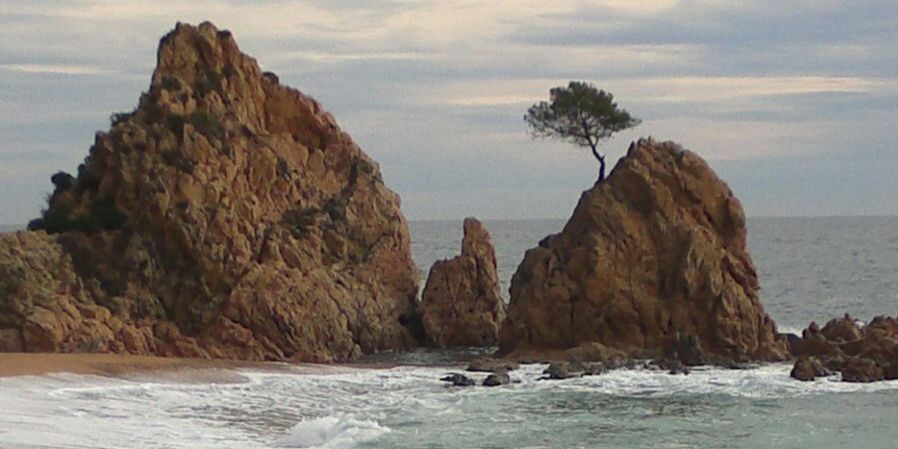 LluisaGibert's profile banner image