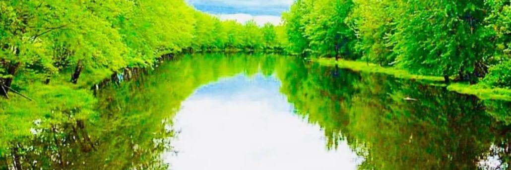 tpsaunders_'s profile banner image