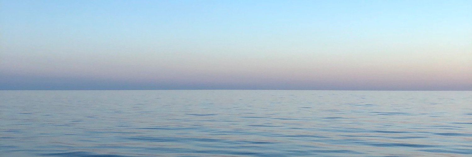 hulamari's profile banner image
