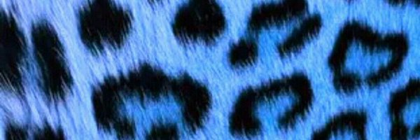 MadisonRashae Profile Banner