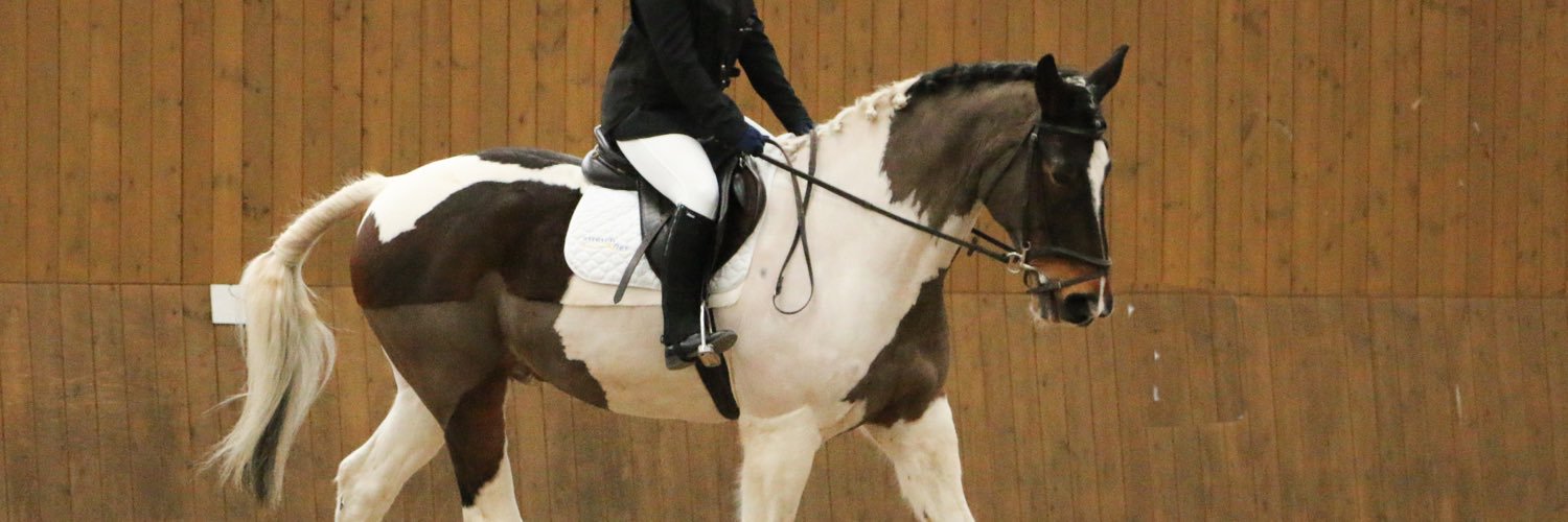DownChloe's profile banner image