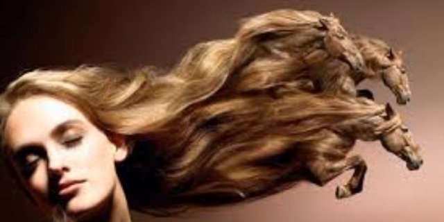 louisebobby's profile banner image