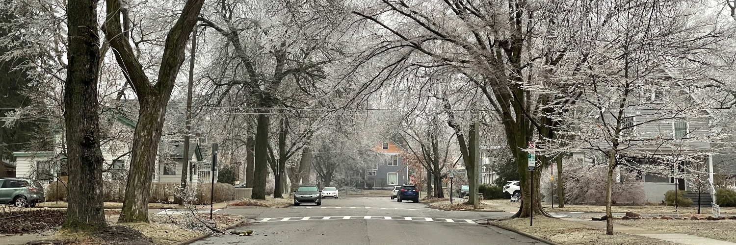 Robert Manduca banner