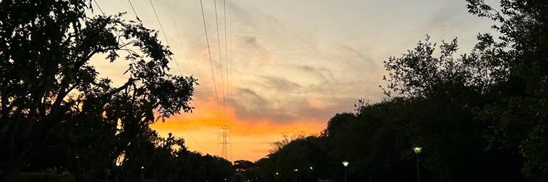 somimhl's profile banner image