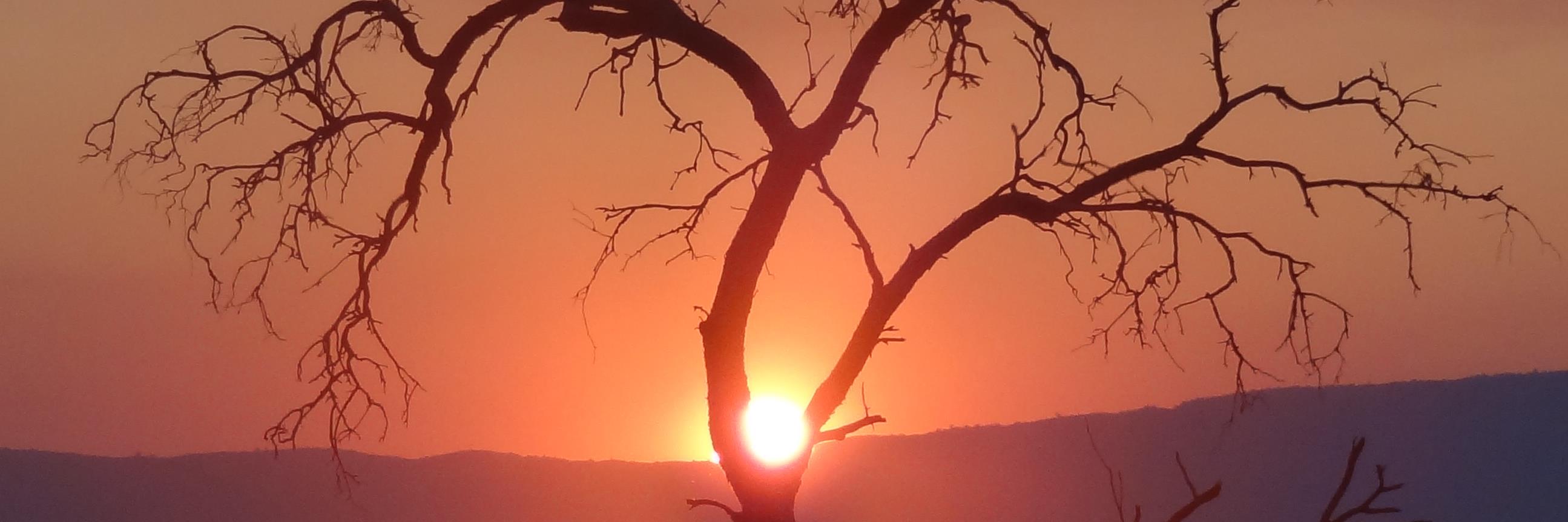 DillmannMichael's profile banner image