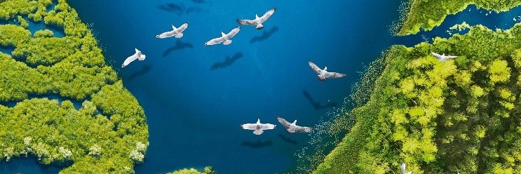 Consejería Transición Ecológica y Sostenibilidad banner