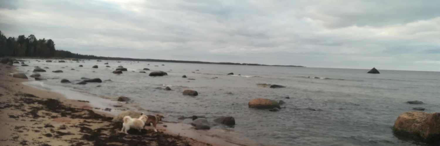 shinyceIebi's profile banner image