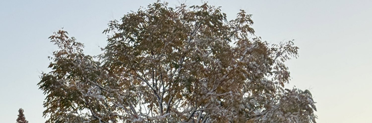 1LLANOISE's profile banner image