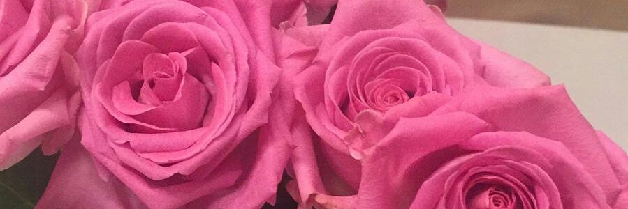 fgullacin's profile banner image