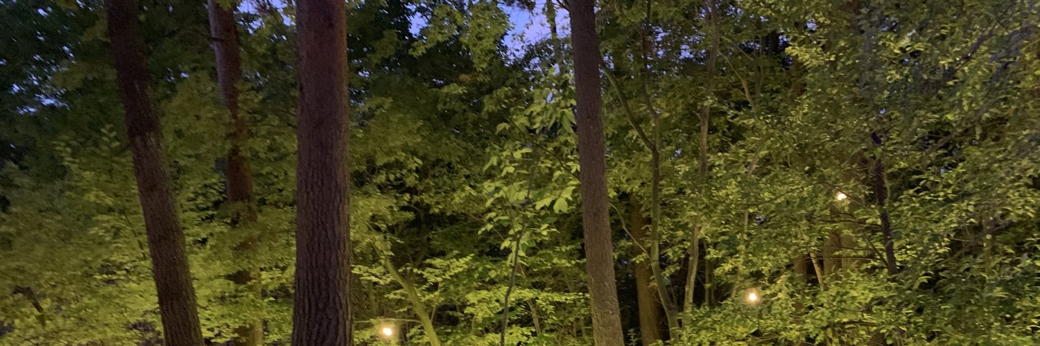 g.mrg（マルグ）🌸 banner