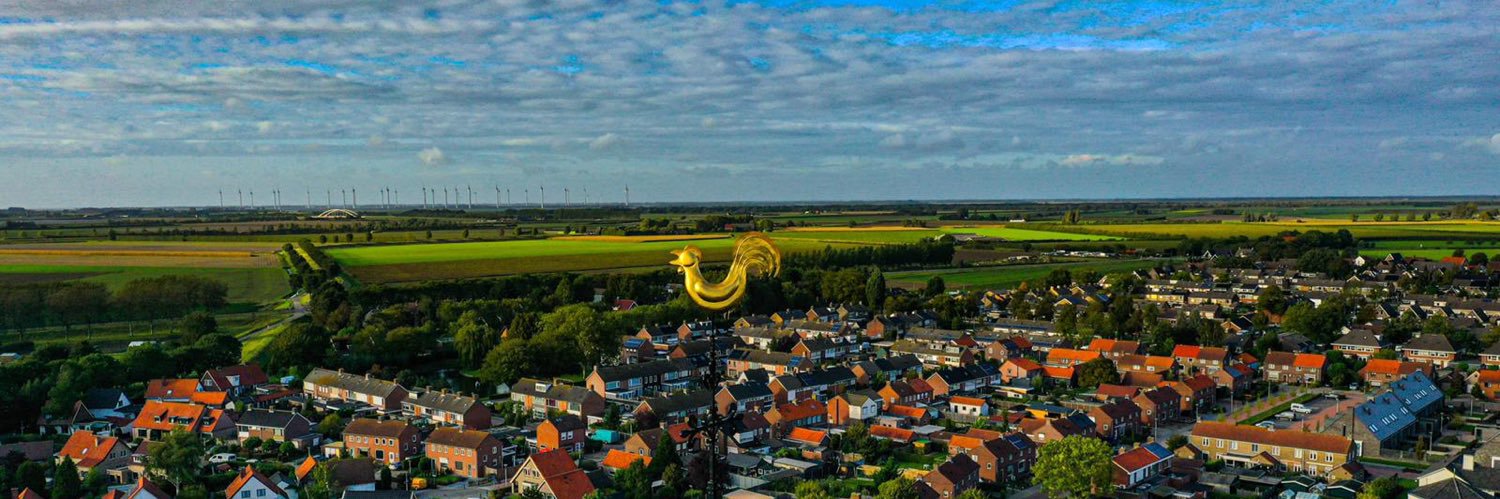 Daan banner