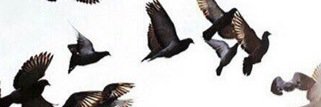 hnoon02's profile banner image
