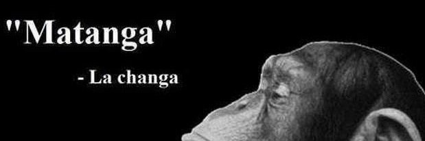 PepRodPerez's profile banner image