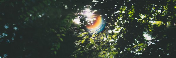 DaylightAcad Profile Banner